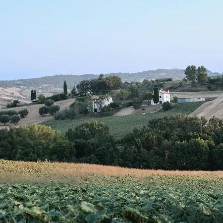 Vista Fermo *